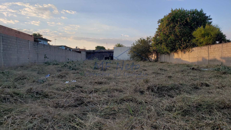Imagem Terreno à Venda, 650 m² em Vila São Guido - Pirassununga