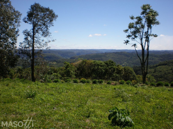 Imagem Terreno à Venda, 1.400 m² em Mato Queimado - Gramado Imagem Terreno à Venda, 1.400 m² em Mato Queimado - Gramado