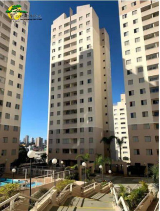 Imagem Apartamento com 2 Quartos à Venda, 50 m² em Imirim - São Paulo Imagem Apartamento com 2 Quartos à Venda, 50 m² em Imirim - São Paulo