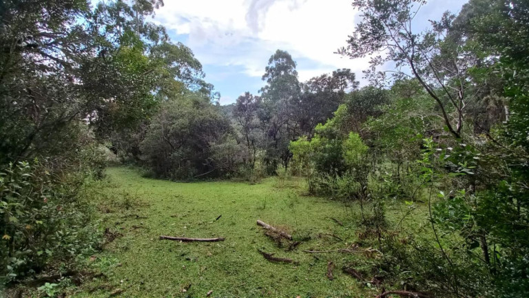 Imagem Imóvel com 3 Quartos à Venda, 11 m² em Olaria - Bocaiúva Do Sul Imagem Imóvel com 3 Quartos à Venda, 11 m² em Olaria - Bocaiúva Do Sul