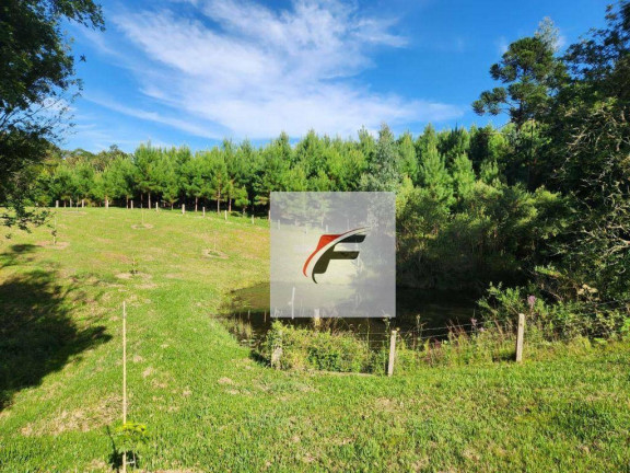 Imagem Chácara com 3 Quartos à Venda, 305.000 m² em Zona Rural - Tijucas Do Sul
