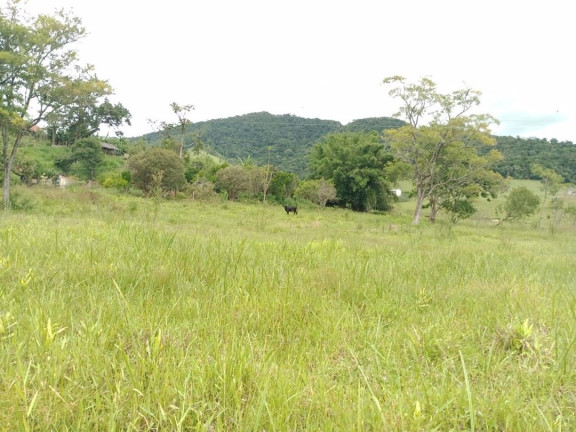Imagem Chácara com 2 Quartos à Venda, 250 m² em Espírito Santo - Paraibuna