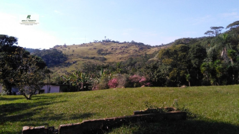 Imagem Chácara com 3 Quartos à Venda, 50.000 m² em Alto Da Serra - São Roque Imagem Chácara com 3 Quartos à Venda, 50.000 m² em Alto Da Serra - São Roque
