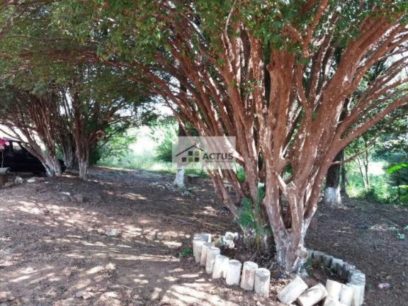 Imagem Chácara à Venda, 20.000 m² em Campo Verde - Mário Campos