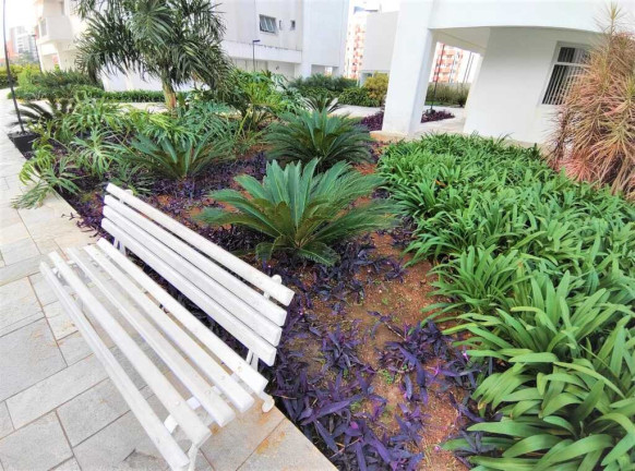 Imagem Apartamento com 3 Quartos à Venda, 78 m² em Santana - São Paulo Imagem Apartamento com 3 Quartos à Venda, 78 m² em Santana - São Paulo