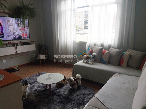 Imagem Imóvel com 2 Quartos à Venda, 48 m² em Agriões - Teresópolis Imagem Imóvel com 2 Quartos à Venda, 48 m² em Agriões - Teresópolis