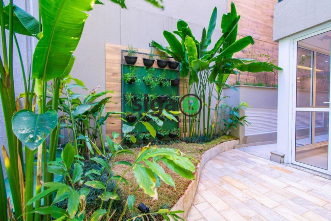 Imagem Apartamento com 1 Quarto à Venda, 35 m² em Aclimação - São Paulo Imagem Apartamento com 1 Quarto à Venda, 35 m² em Aclimação - São Paulo