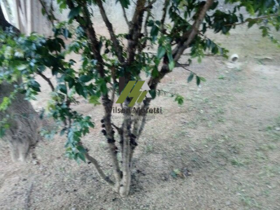 Imagem Fazenda à Venda, 1.000 m²