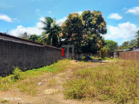 Imagem Terreno à Venda, 530 m² em São José - Macaíba