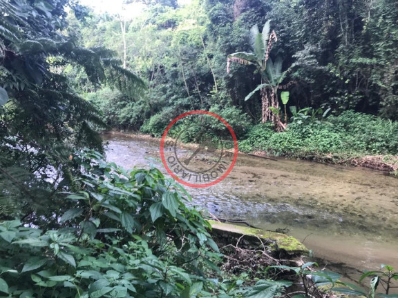 Imagem Terreno à Venda, 500 m² em Boiçucanga - São Sebastião Imagem Terreno à Venda, 500 m² em Boiçucanga - São Sebastião