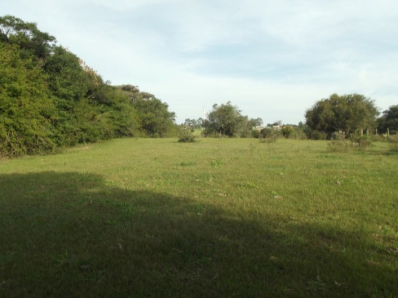 Imagem Chácara à Venda, 8 m² em águas Claras - Viamão Imagem Chácara à Venda, 8 m² em águas Claras - Viamão