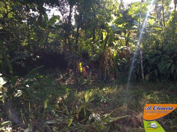 Imagem Chácara com 2 Quartos à Venda, 100 m² em Corcovado - Ubatuba Imagem Chácara com 2 Quartos à Venda, 100 m² em Corcovado - Ubatuba