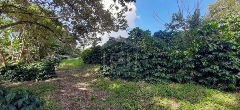 Imagem Imóvel à Venda, 3 m² em Milho Verde - Bandeira Do Sul Imagem Imóvel à Venda, 3 m² em Milho Verde - Bandeira Do Sul