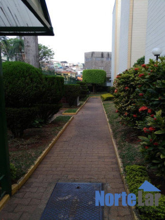 Imagem Apartamento com 2 Quartos à Venda, 45 m² em Parque São Luís - São Paulo Imagem Apartamento com 2 Quartos à Venda, 45 m² em Parque São Luís - São Paulo