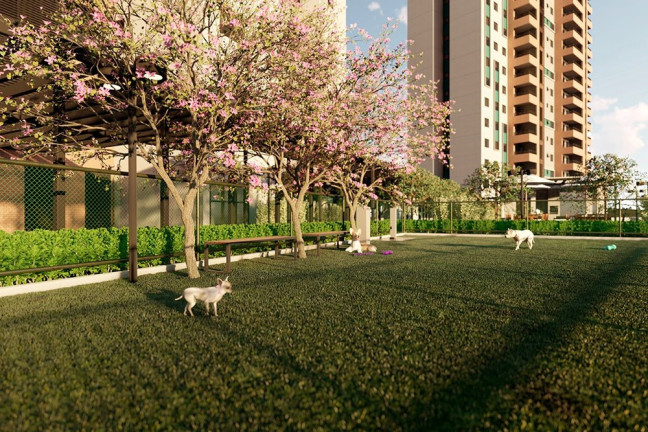Imagem Apartamento com 3 Quartos à Venda, 112 m² em Engordadouro - Jundiaí Imagem Apartamento com 3 Quartos à Venda, 112 m² em Engordadouro - Jundiaí