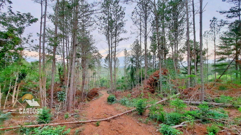 Imagem Fazenda à Venda, 46.000 m² em águas Claras - Viamão Imagem Fazenda à Venda, 46.000 m² em águas Claras - Viamão
