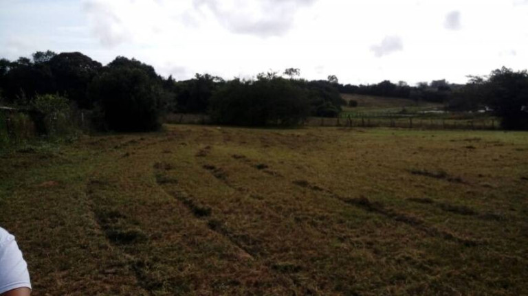 Imagem Chácara à Venda, 5.536 m² em águas Claras - Viamão