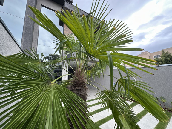 Imagem Sobrado com 3 Quartos à Venda, 147 m² em Afonso Pena - São José Dos Pinhais Imagem Sobrado com 3 Quartos à Venda, 147 m² em Afonso Pena - São José Dos Pinhais