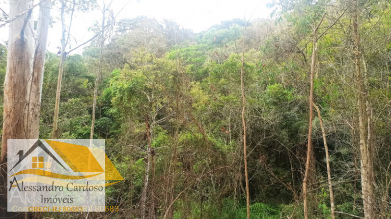 Imagem Terreno à Venda, 18.000 m² em Campo Do Coelho - Nova Friburgo Imagem Terreno à Venda, 18.000 m² em Campo Do Coelho - Nova Friburgo
