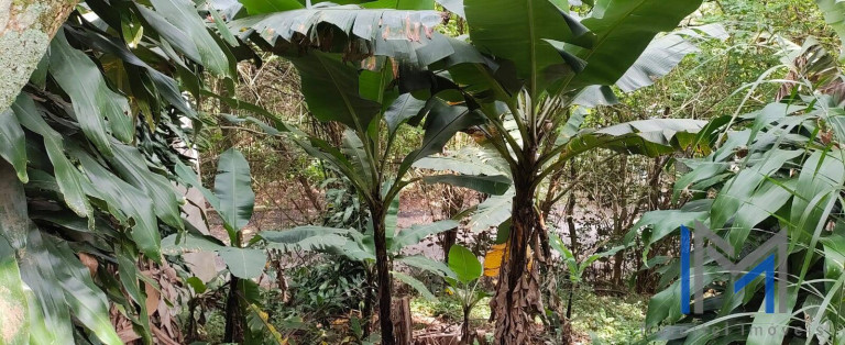 Imagem Terreno à Venda, 502 m² em Chácara São João - Carapicuíba