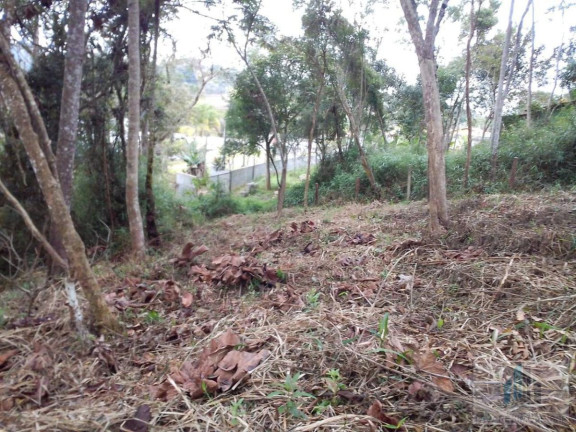 Imagem Chácara à Venda, 4.200 m²