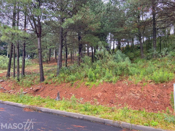Imagem Terreno à Venda, 450 m² em Dutra - Gramado Imagem Terreno à Venda, 450 m² em Dutra - Gramado