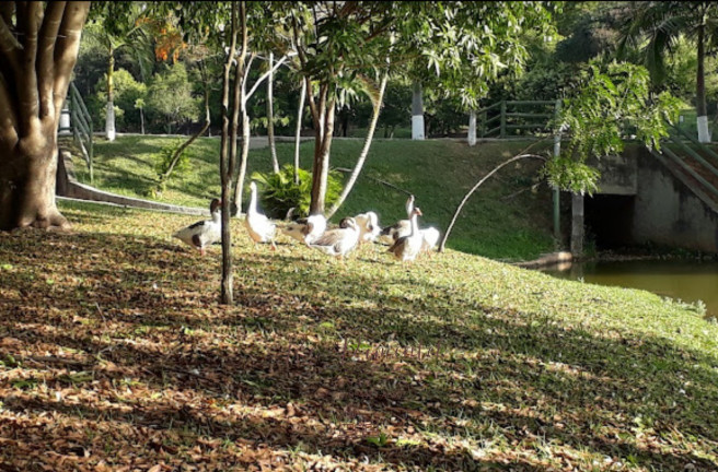 Imagem Terreno à Venda, 270 m² em Parque Ibiti Reserva - Sorocaba