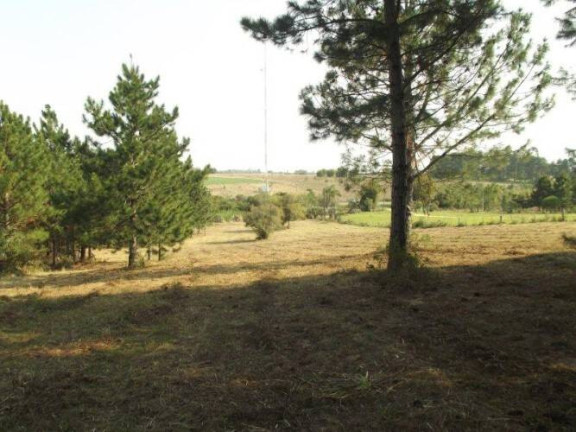Imagem Terreno à Venda, 80.000 m² em águas Claras - Viamão