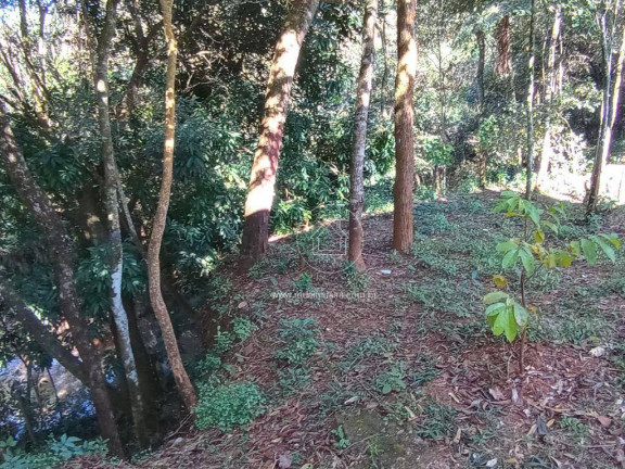 Imagem Chácara com 2 Quartos à Venda, 230 m² em Marques - Brumadinho Imagem Chácara com 2 Quartos à Venda, 230 m² em Marques - Brumadinho