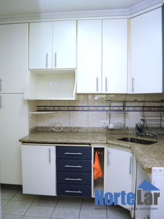 Imagem Apartamento com 3 Quartos à Venda, 75 m² em Vila Amélia - São Paulo Imagem Apartamento com 3 Quartos à Venda, 75 m² em Vila Amélia - São Paulo