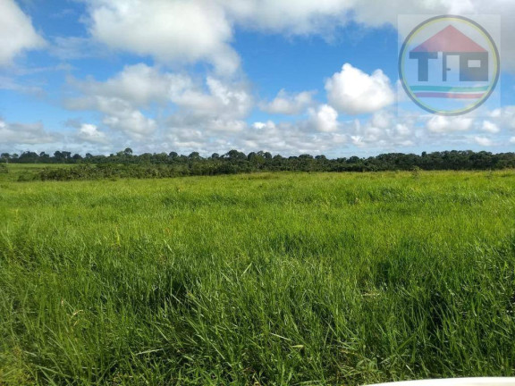 Imagem Fazenda à Venda, 105.512 m² em Logradouro Sem Nome, Marabá - Pa, Brasil -5.523790, -49.041041 - Marabá Imagem Fazenda à Venda, 105.512 m² em Logradouro Sem Nome, Marabá - Pa, Brasil -5.523790, -49.041041 - Marabá