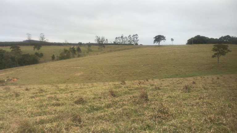 Imagem Fazenda à Venda, 59 m² em Rural - São Miguel Arcanjo