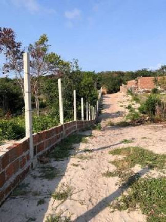 Imagem Terreno à Venda, 19.000 m² em Tibau Do Sul Imagem Terreno à Venda, 19.000 m² em Tibau Do Sul