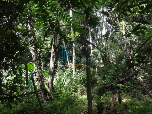 Imagem Imóvel com 3 Quartos à Venda, 5.576 m² em Parque São Sebastião - Ribeirão Preto Imagem Imóvel com 3 Quartos à Venda, 5.576 m² em Parque São Sebastião - Ribeirão Preto