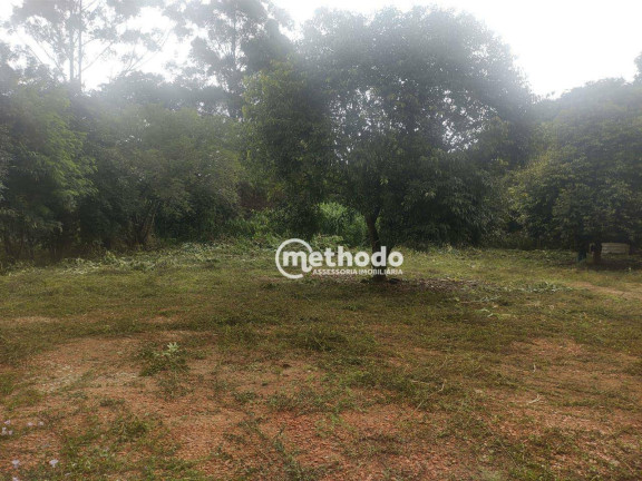 Imagem Terreno à Venda ou Locação, 3.102 m² em Vila Ipê - Campinas Imagem Terreno à Venda ou Locação, 3.102 m² em Vila Ipê - Campinas