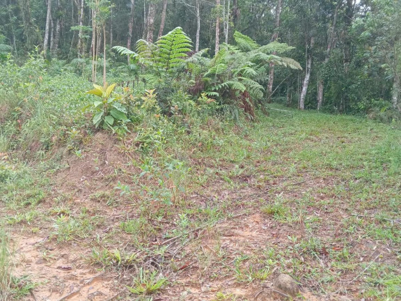 Imagem Imóvel com 2 Quartos à Venda, 22.376 m² em Centro - São Pedro De Alcântara Imagem Imóvel com 2 Quartos à Venda, 22.376 m² em Centro - São Pedro De Alcântara