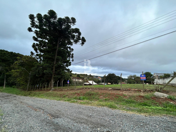 Imagem Terreno à Venda, 2.600 m² em Vila Bancária - Campo Largo Imagem Terreno à Venda, 2.600 m² em Vila Bancária - Campo Largo