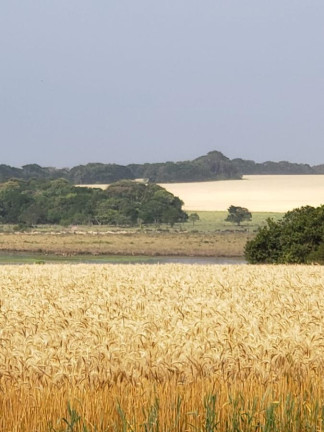 Imagem Fazenda à Venda, 2.178 m² em Rural - Itaí