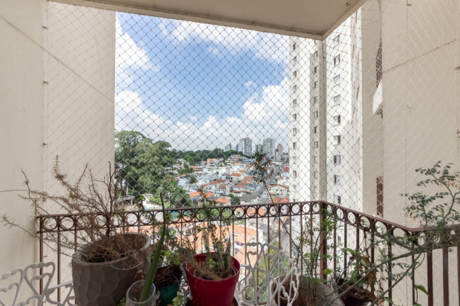 Imagem Apartamento com 3 Quartos à Venda, 70 m² em Santa Teresinha - São Paulo Imagem Apartamento com 3 Quartos à Venda, 70 m² em Santa Teresinha - São Paulo