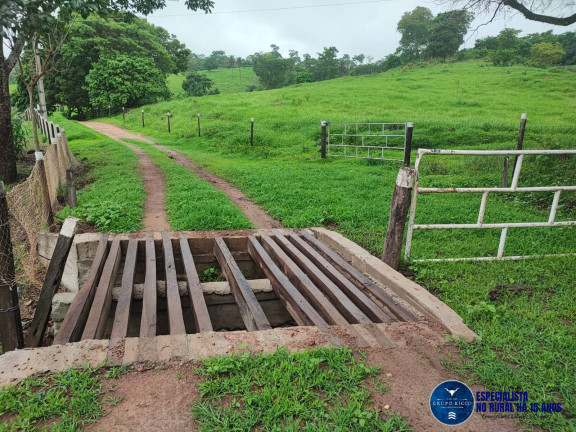 Imagem Chácara à Venda, 2 m² em Zona Rural - Itauçu Imagem Chácara à Venda, 2 m² em Zona Rural - Itauçu