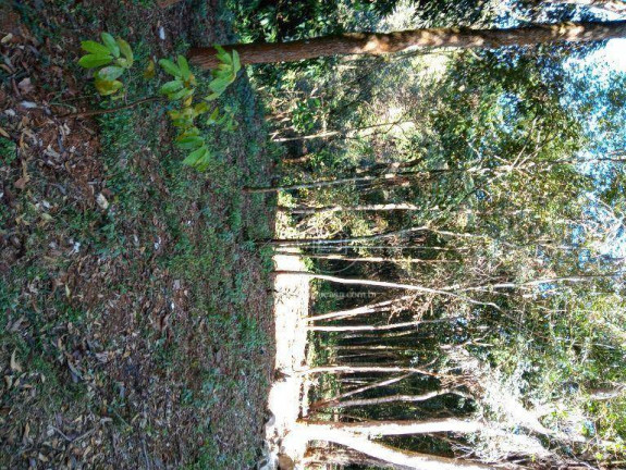 Imagem Chácara com 2 Quartos à Venda, 230 m² em Marques - Brumadinho Imagem Chácara com 2 Quartos à Venda, 230 m² em Marques - Brumadinho