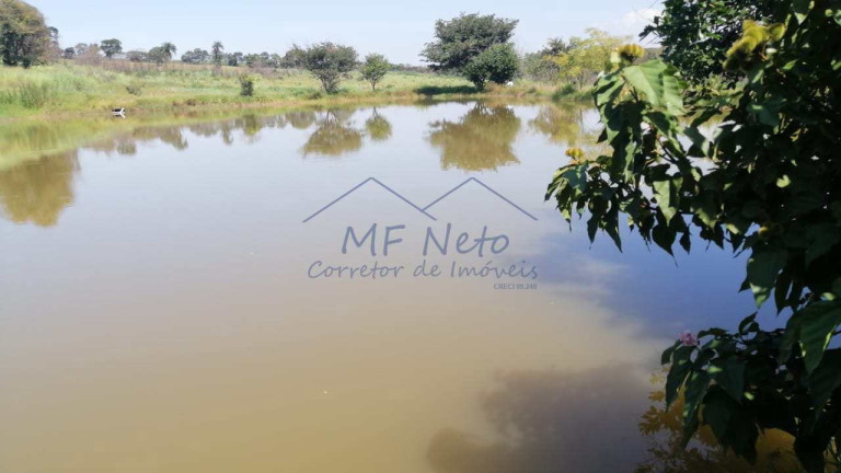 Imagem Fazenda à Venda, 22 m² em Roque - Pirassununga Imagem Fazenda à Venda, 22 m² em Roque - Pirassununga