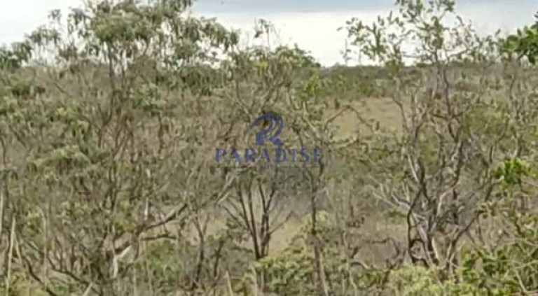 Imagem Terreno à Venda, 1.410.000 m² em Pólo Industrial De Camaçari - Camaçari Imagem Terreno à Venda, 1.410.000 m² em Pólo Industrial De Camaçari - Camaçari