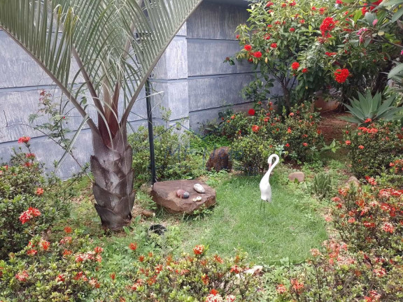 Imagem Casa com 3 Quartos à Venda, 300 m² em Parque Dos Eucaliptos - Pirassununga Imagem Casa com 3 Quartos à Venda, 300 m² em Parque Dos Eucaliptos - Pirassununga