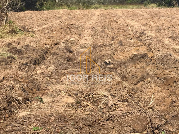 Imagem Fazenda à Venda, 487 m² em Rural - Casimiro De Abreu Imagem Fazenda à Venda, 487 m² em Rural - Casimiro De Abreu