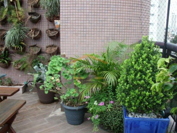 Imagem Cobertura com 4 Quartos à Venda, 230 m² em água Fria - São Paulo Imagem Cobertura com 4 Quartos à Venda, 230 m² em água Fria - São Paulo