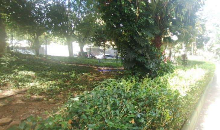 Imagem Imóvel com 3 Quartos à Venda, 67 m² em Petrópolis - Porto Alegre Imagem Imóvel com 3 Quartos à Venda, 67 m² em Petrópolis - Porto Alegre