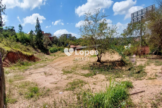 Imagem Terreno à Venda, 4.000 m² em Chácaras Alpina - Valinhos Imagem Terreno à Venda, 4.000 m² em Chácaras Alpina - Valinhos