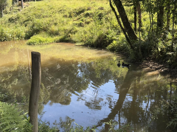 Imagem Imóvel com 5 Quartos à Venda, 18.150 m² em Lagoa Dos Ferreiras - Mandirituba Imagem Imóvel com 5 Quartos à Venda, 18.150 m² em Lagoa Dos Ferreiras - Mandirituba