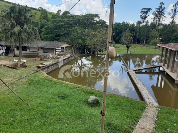 Imagem Chácara com 2 Quartos à Venda, 500 m² em Centro - Paraibuna Imagem Chácara com 2 Quartos à Venda, 500 m² em Centro - Paraibuna